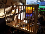 20121211_134338 DIY Rabbit Hutch front.jpg